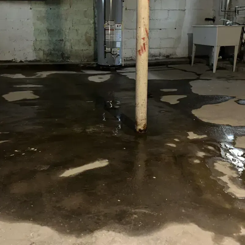 Emergency Water Extraction And Removal in Adams Center, NY